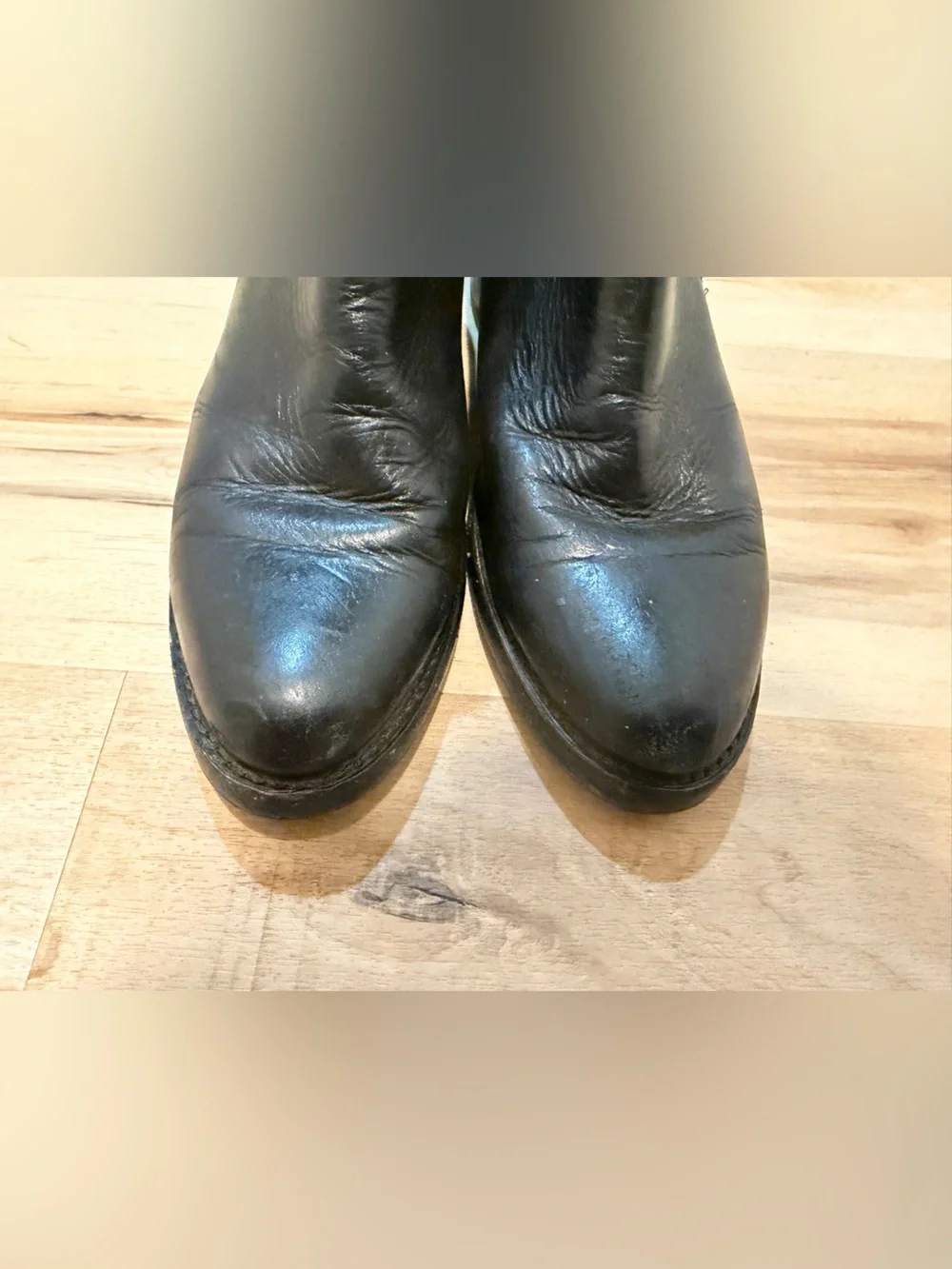Frye black Demi zip bootie in black